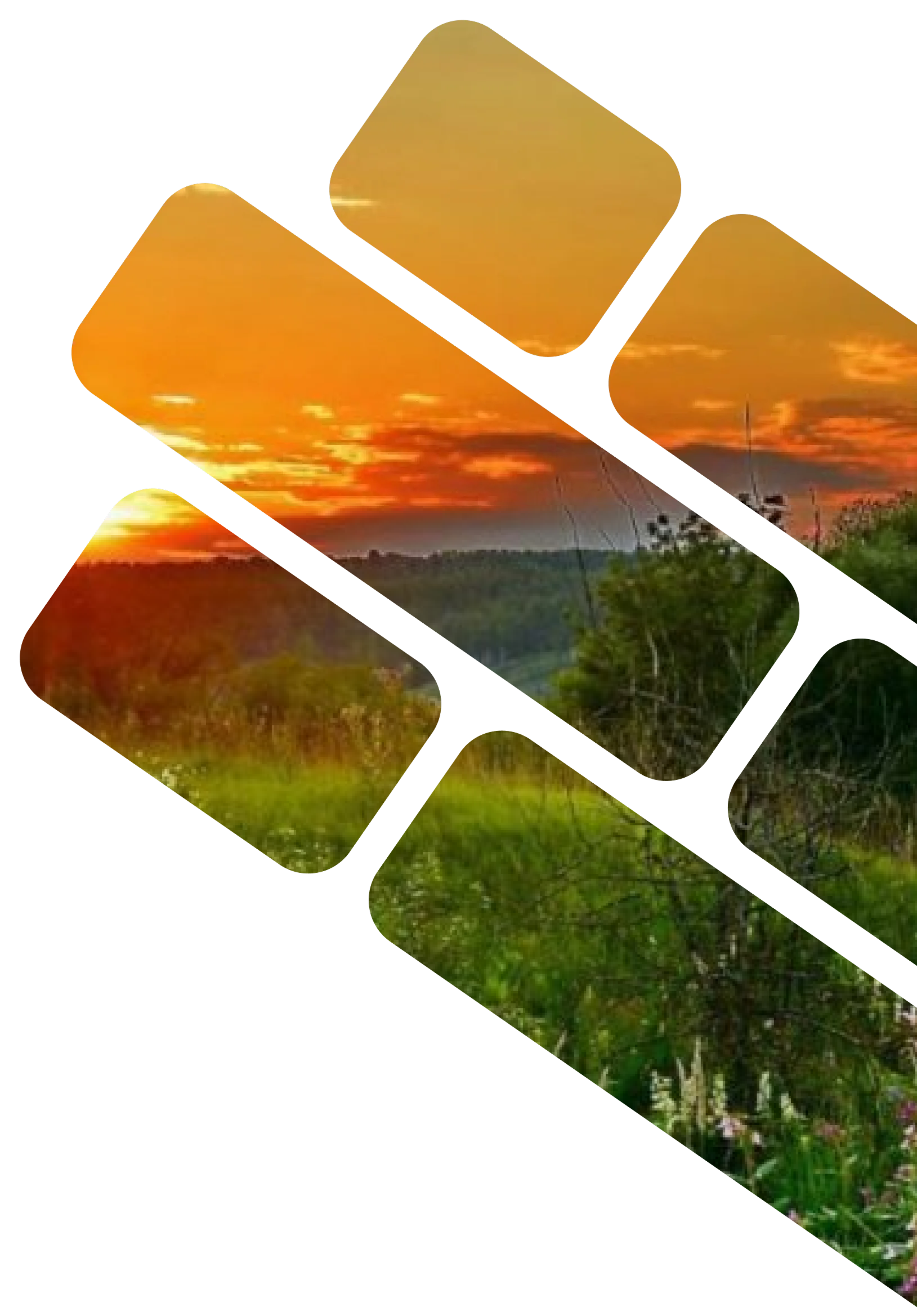 Филиал «Кавказский» (г. Сочи) 