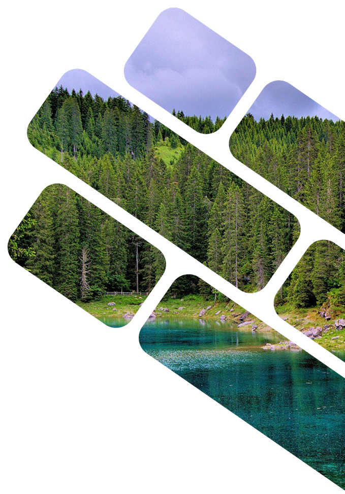 Лаборатория &lt;br&gt;«Красная книга»