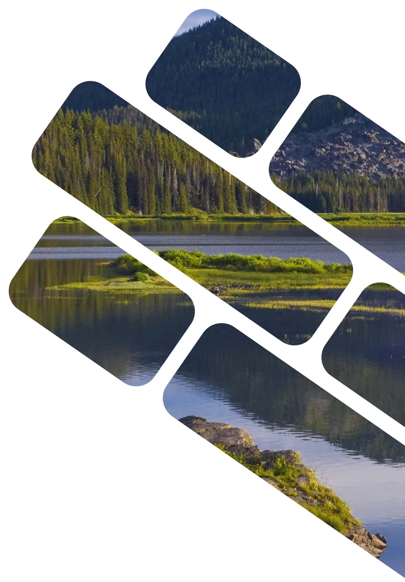 Учёный совет