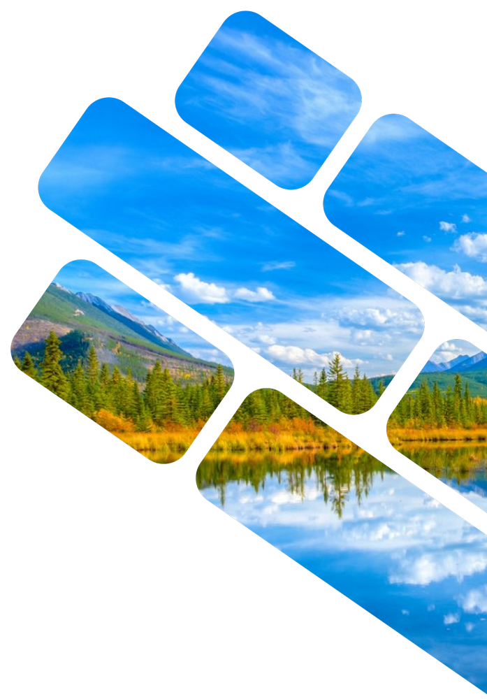 Руководство